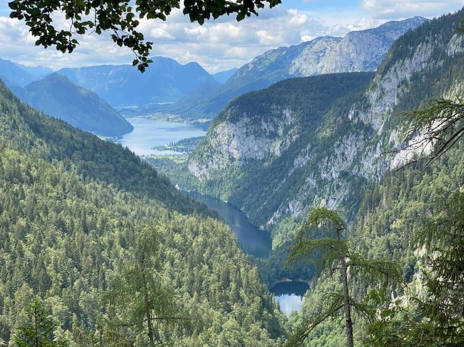 Alpenurlaub II Wohnung Mit Traumausblick Bad Mitterndorf Eksteriør billede