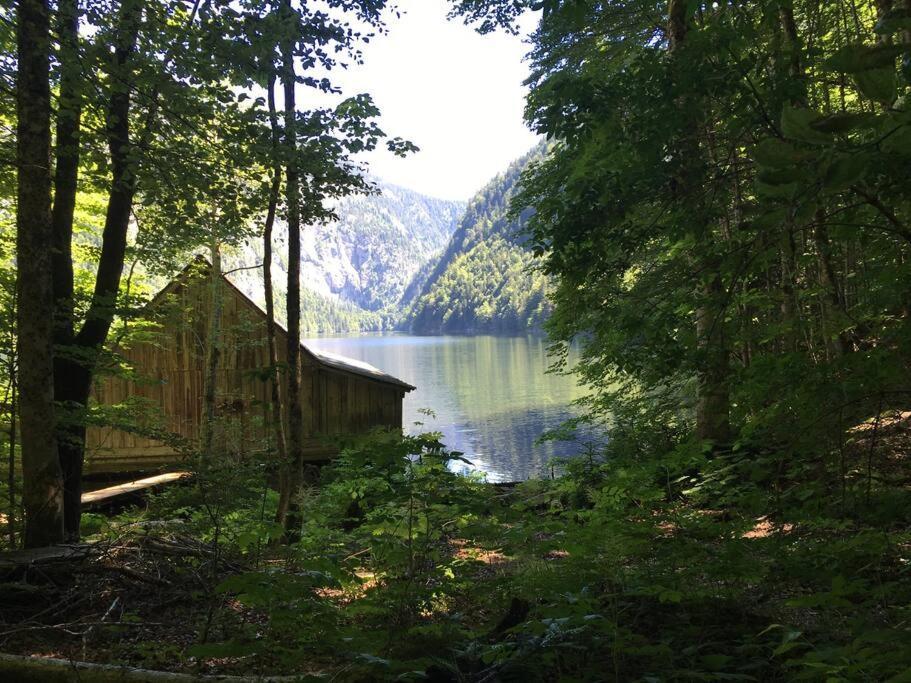 Alpenurlaub II Wohnung Mit Traumausblick Bad Mitterndorf Eksteriør billede