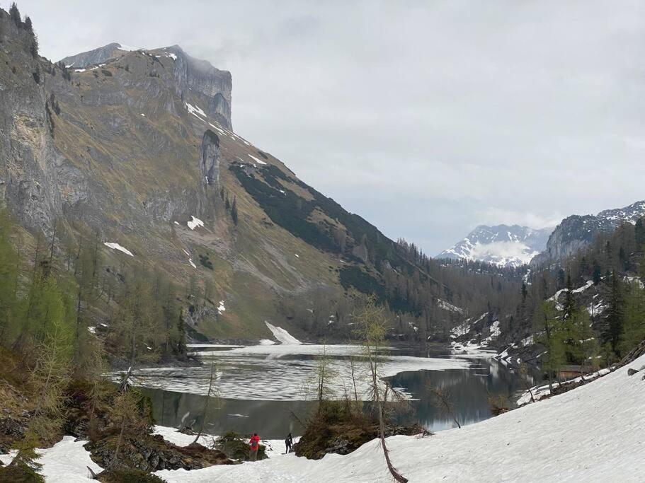 Alpenurlaub II Wohnung Mit Traumausblick Bad Mitterndorf Eksteriør billede