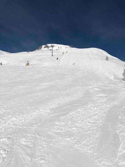 Alpenurlaub II Wohnung Mit Traumausblick Bad Mitterndorf Eksteriør billede