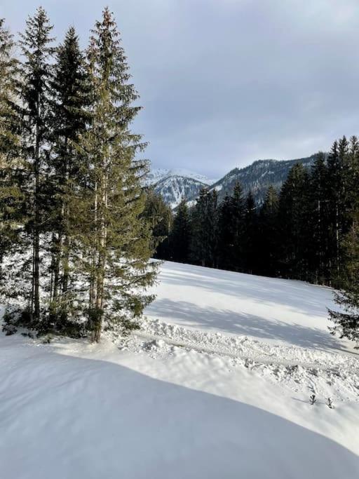 Alpenurlaub II Wohnung Mit Traumausblick Bad Mitterndorf Eksteriør billede