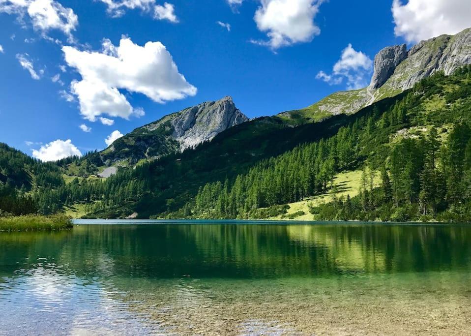 Alpenurlaub II Wohnung Mit Traumausblick Bad Mitterndorf Eksteriør billede