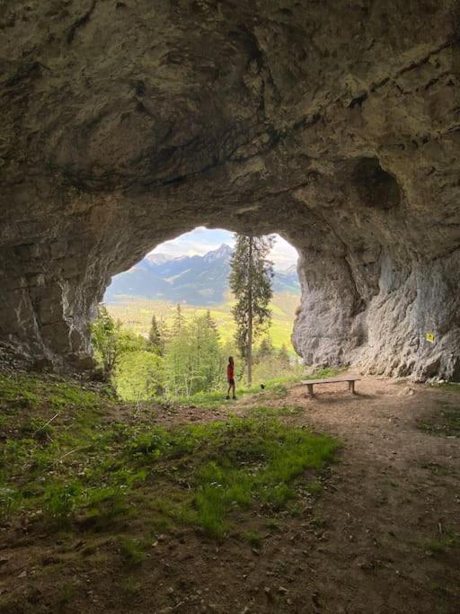 Alpenurlaub II Wohnung Mit Traumausblick Bad Mitterndorf Eksteriør billede