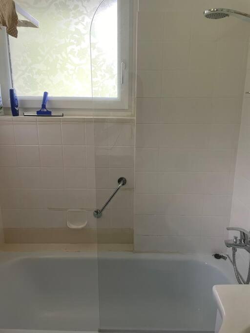 Alpenurlaub II Wohnung Mit Traumausblick Bad Mitterndorf Eksteriør billede