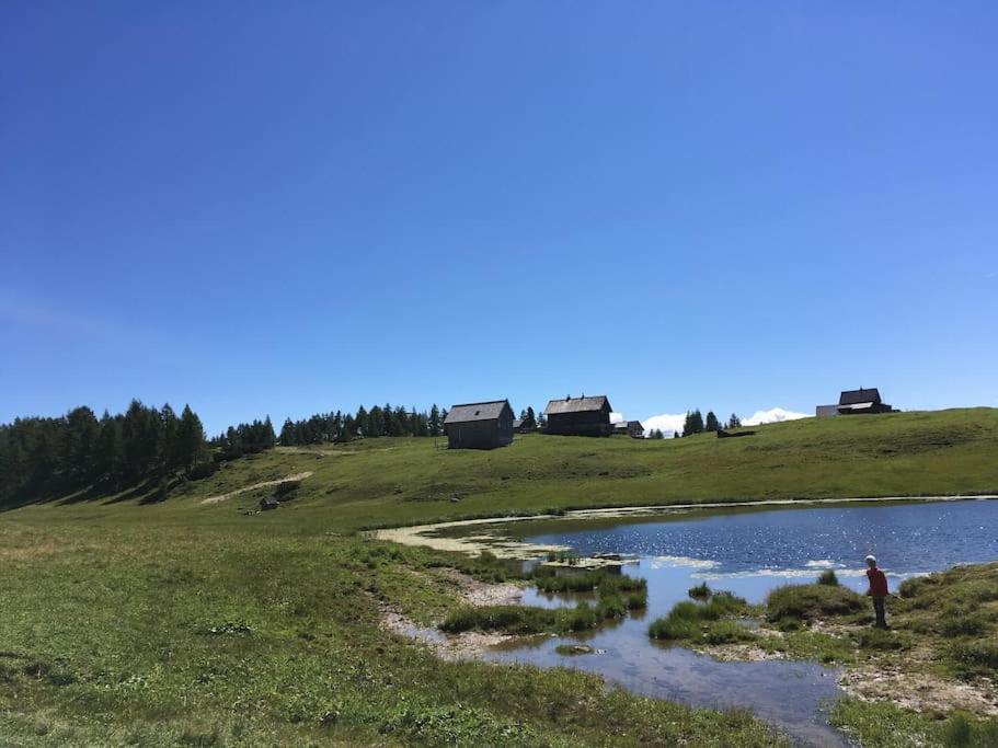 Alpenurlaub II Wohnung Mit Traumausblick Bad Mitterndorf Eksteriør billede
